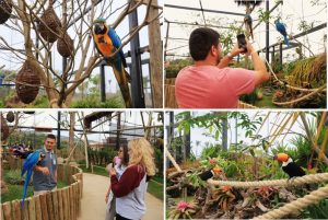 Refúgio das Aves do Parque Três Pescadores acolhe animais resgatados de maus-tratos e tráfico