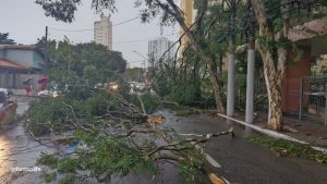Chuva forte causa estragos em São José dos Campos