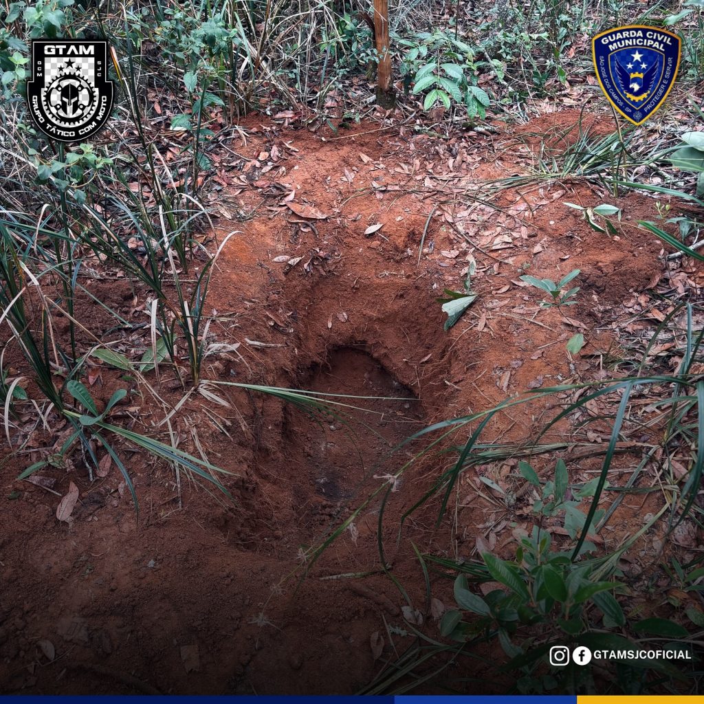 Ossada humana encontrada em matagal no Dom Pedro II