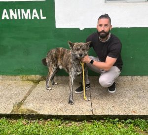 Cachorro é resgatado na Dutra, acolhido e entregue ao tutor