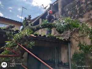 Árvore cai sobre casa em Caraguatatuba e Bombeiros agem rapidamente