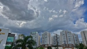 Queda de árvores em São José durante temporal