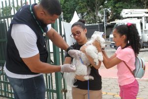 Jacareí promove vacinação antirrábica gratuita para pets neste sábado