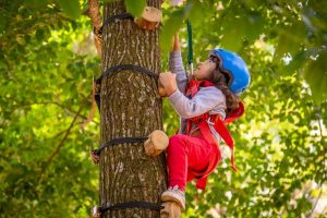 Parque Vicentina oferece atividades gratuitas nestas férias