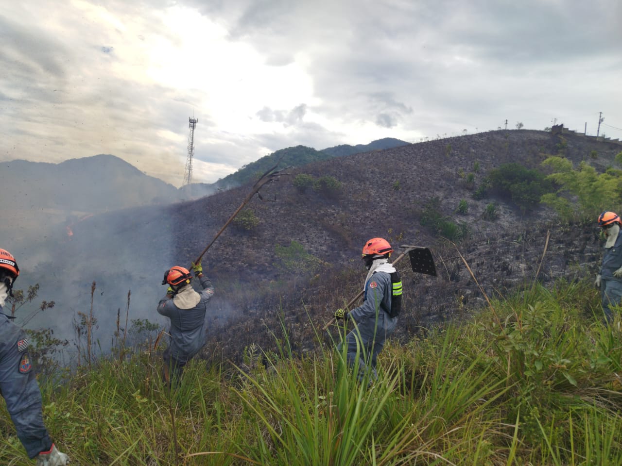 Fogo em mata mobiliza Corpo de Bombeiros em São Sebastião