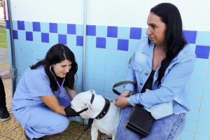 Inscrições abertas para castração gratuita de pets em São José