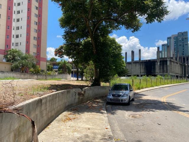 Lixo no Jardim Oswaldo Cruz preocupa moradores e atrai pragas