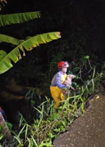 Bombeiros resgatam cachorro amarrado às margens de córrego