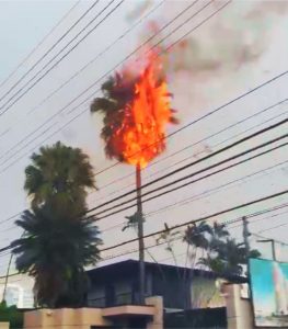 Palmeira pega fogo após ser atingido por raio na avenida Anchieta, em São José dos Campos, durante forte chuva com relâmpagos.