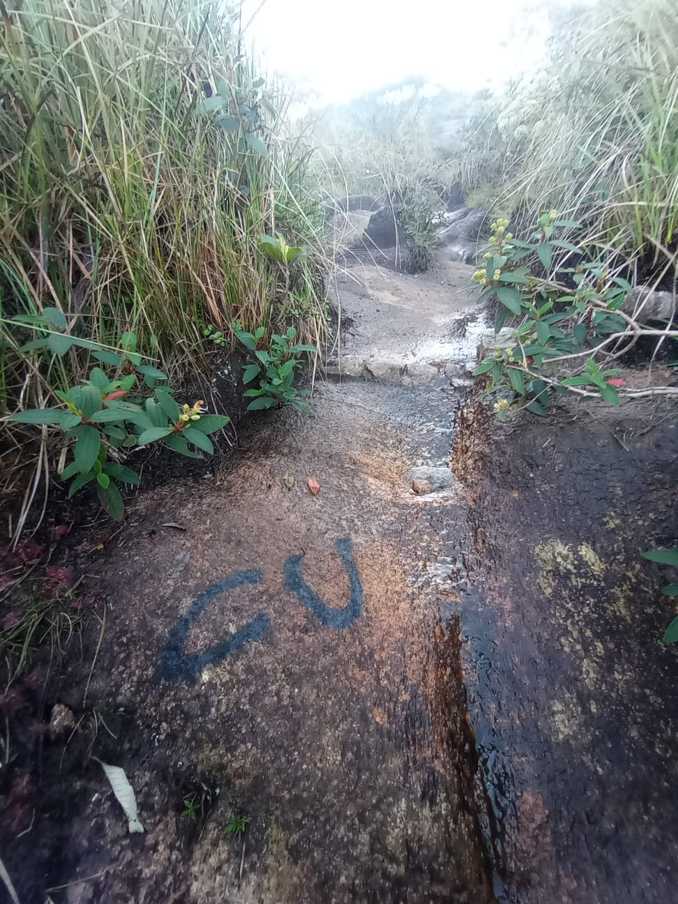 Família é autuada por pichação no Pico dos Marins em Piquete 