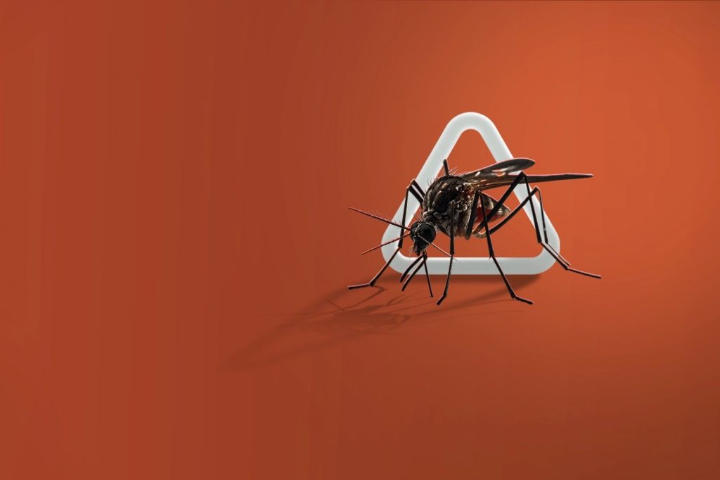 São José dos Campos confirma quarta morte por dengue em 2025