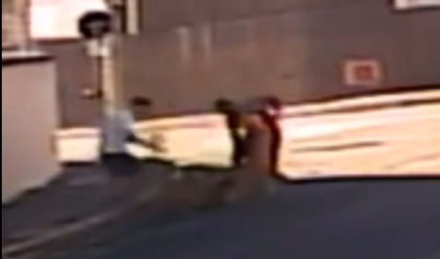Ataque de pitbulls fere cachorro no Jardim Sul em São José