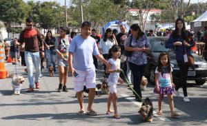 Cãominhada é atração gratuita no domingo em Jacareí