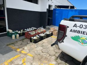 Litoral Norte: Polícia apreende 794 kg de palmito irregular