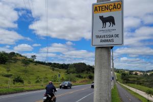 São José dos Campos recebe 55 novas placas para travessia de animais silvestres