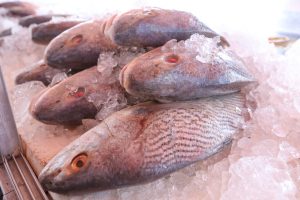 Jacareí terá ponto de pescado na Semana Santa