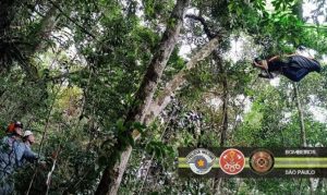 Piloto de asa delta é resgatado pelos bombeiros após salto do Morro Santo Antônio, em Caraguá