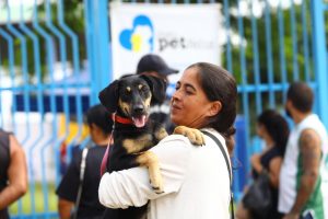 Castramovel chega a São Francisco Xavier neste final de semana