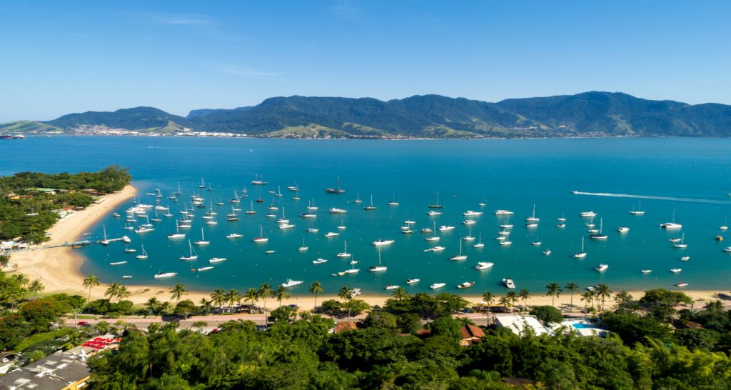 Arte e beleza natural, 17ª Exposição de Orquídeas em Ilhabela!