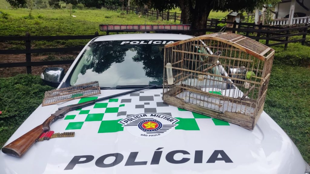 Homem é preso com arma, munições e ave silvestre em cativeiro