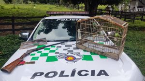 Homem é preso com arma, munições e ave silvestre em cativeiro