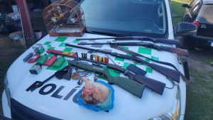 Polícia Ambiental apreende armas, munições e ave silvestre em Igaratá