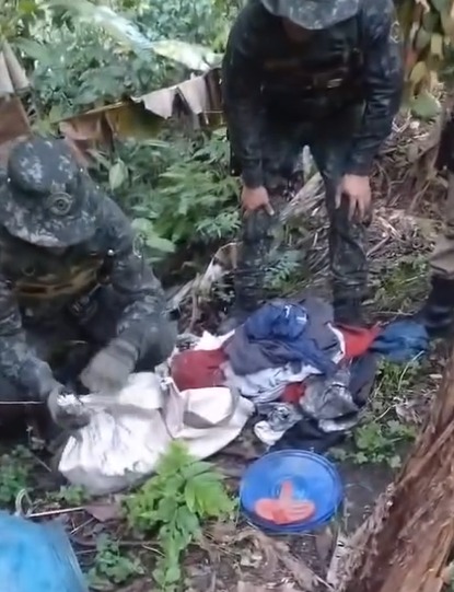 Polícia Ambiental desativa ponto de caça ilegal no Parque da Serra do Mar e resgata dois cachorros
