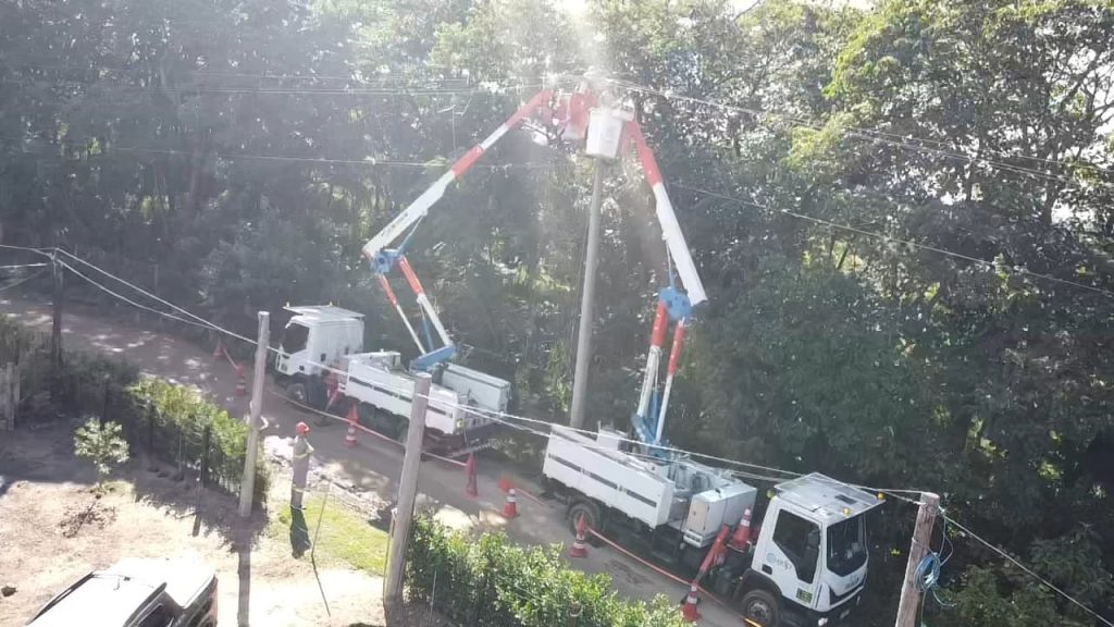 EDP realiza multirão de podas preventivas em cidades da RM Vale do Paraíba