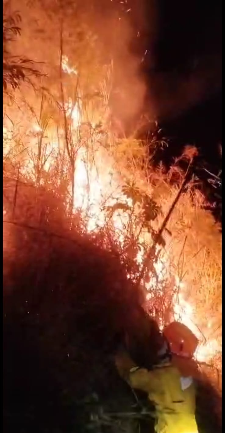 São Sebastião: Corpo de Bombeiros e Defesa Civil combatem fogo em mata