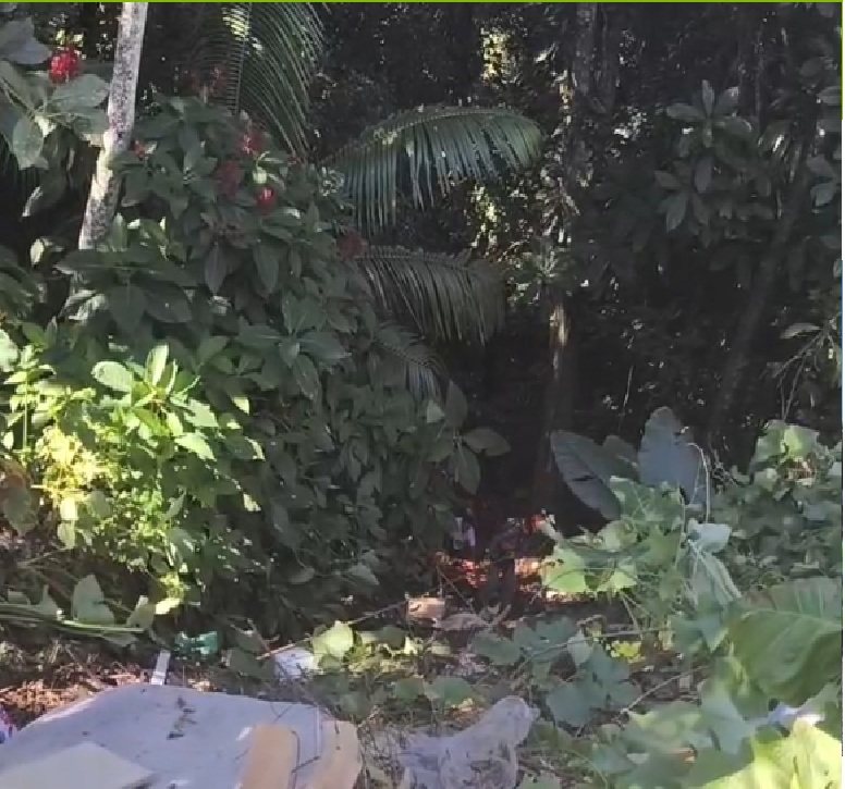 Bombeiros heróis resgatam idoso após queda em ribanceira de 25 metros em Ubatuba