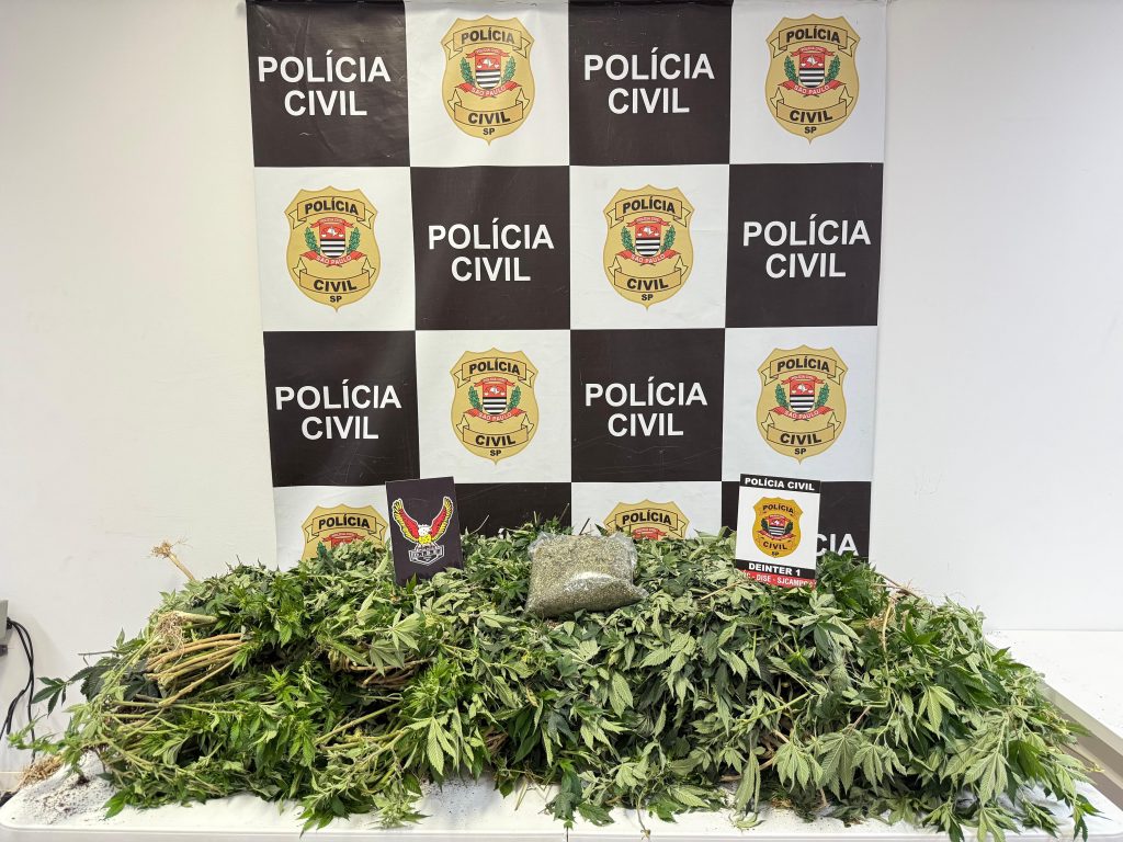 Polícia Civil encontra plantação indoor e prende suspeito
