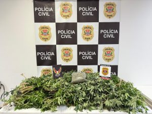 Polícia Civil encontra plantação indoor e prende suspeito