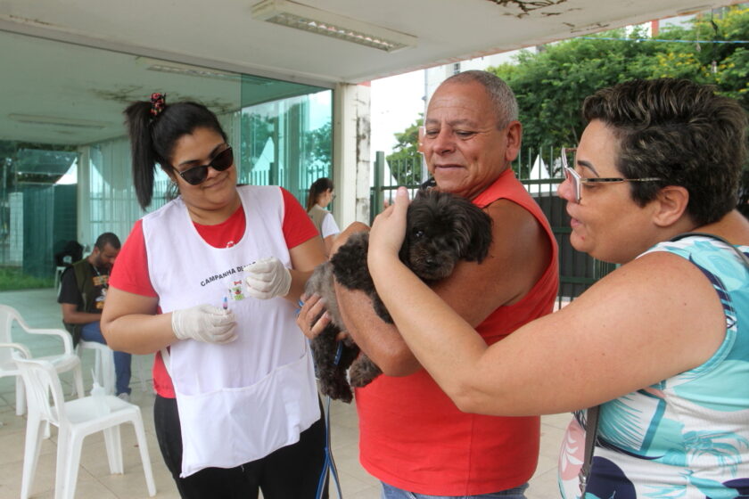 Jacareí realiza vacinação antirrábica gratuita para cães e gatos em julho