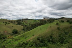 Projeto do Governo de São Paulo promove restauração de hectares na RM Vale do Paraíba
