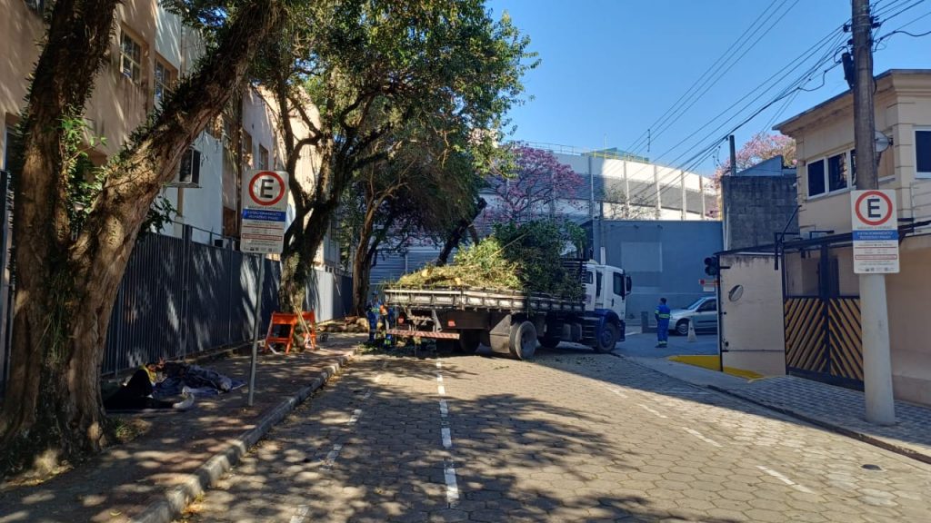 Prefeitura atende pedidos, e árvore no Jardim São Dimas é removida!