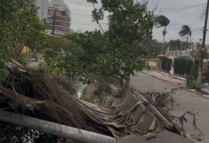 Caraguatatuba mobiliza grande mutirão de recuperação após ventos de 85 km/h