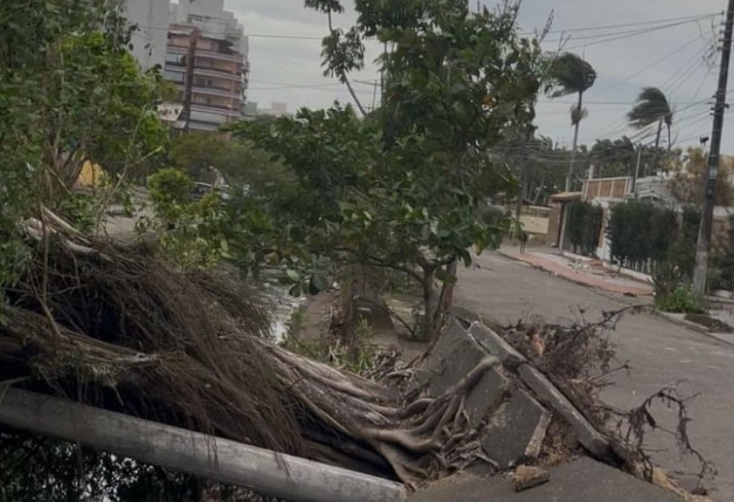 Caraguatatuba mobiliza grande mutirão de recuperação após ventos de 85 km/h