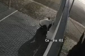 Em 10 segundos, criminoso furta hidrômetro no Jardim Apolo II