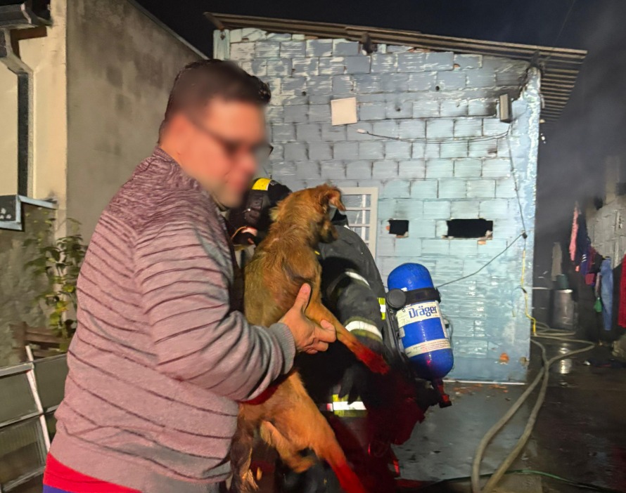 Incêndio atinge casa e Bombeiros salvam oito cachorros!