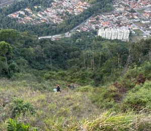 Piloto morre após queda de asa-delta em Caraguatatuba