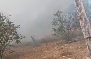 Incêndio área de 30 mil m² de vegetação na zona leste
