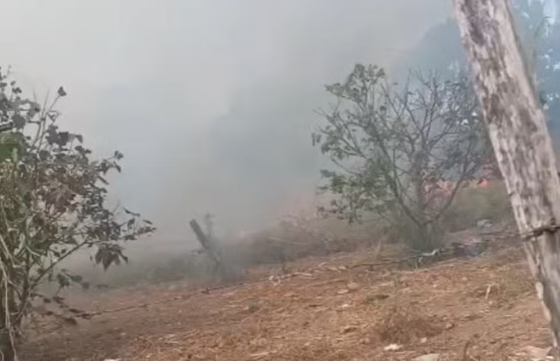 Incêndio área de 30 mil m² de vegetação na zona leste