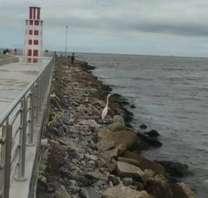 Novo e imponente ponto turístico, Molhe do Rio Juqueriquerê é interditado por risco estrutural!