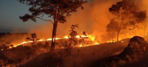 Incêndio no Parque Itaim atinge 80 mil m² em Taubaté