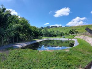 Chorume do aterro de São José será convertido em água de reuso em 2026