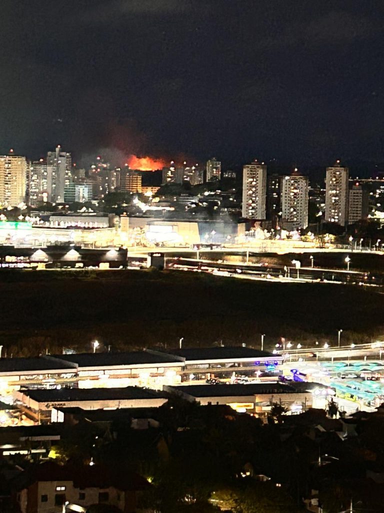Incêndio em vegetação próximo ao bairro Putim assusta moradores