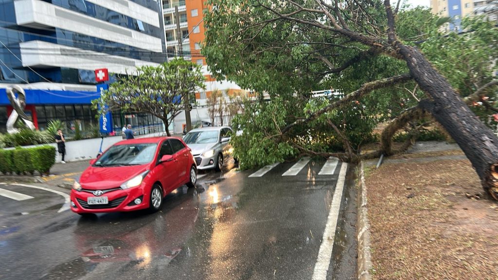 Ventos de 109 kmh causam estragos em São José dos Campos