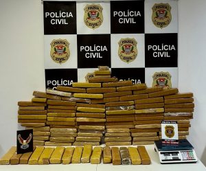 Polícia Civil apreende mais de 81 kg de maconha em operação contra tráfico de drogas em São José