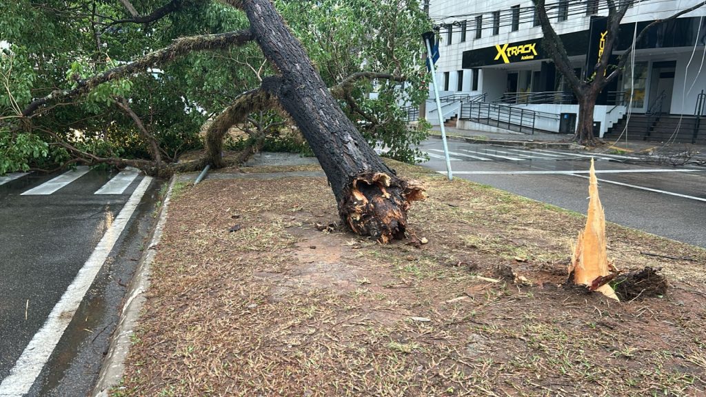 Chuvas fortes em São José dos Campos deixam bairros sem energia elétrica