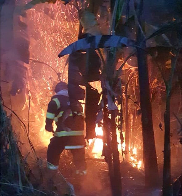 Bombeiros de Ilhabela evitam propagação de incêndio para residências na Barra Velha